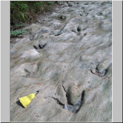 100_0999 (2009-28-07)m.JPG